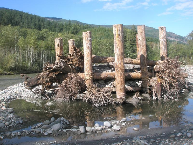 Fobes In-stream logjam